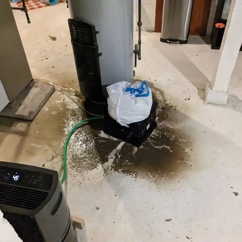Sewage Backup Cleanup Service in Hendron, KY